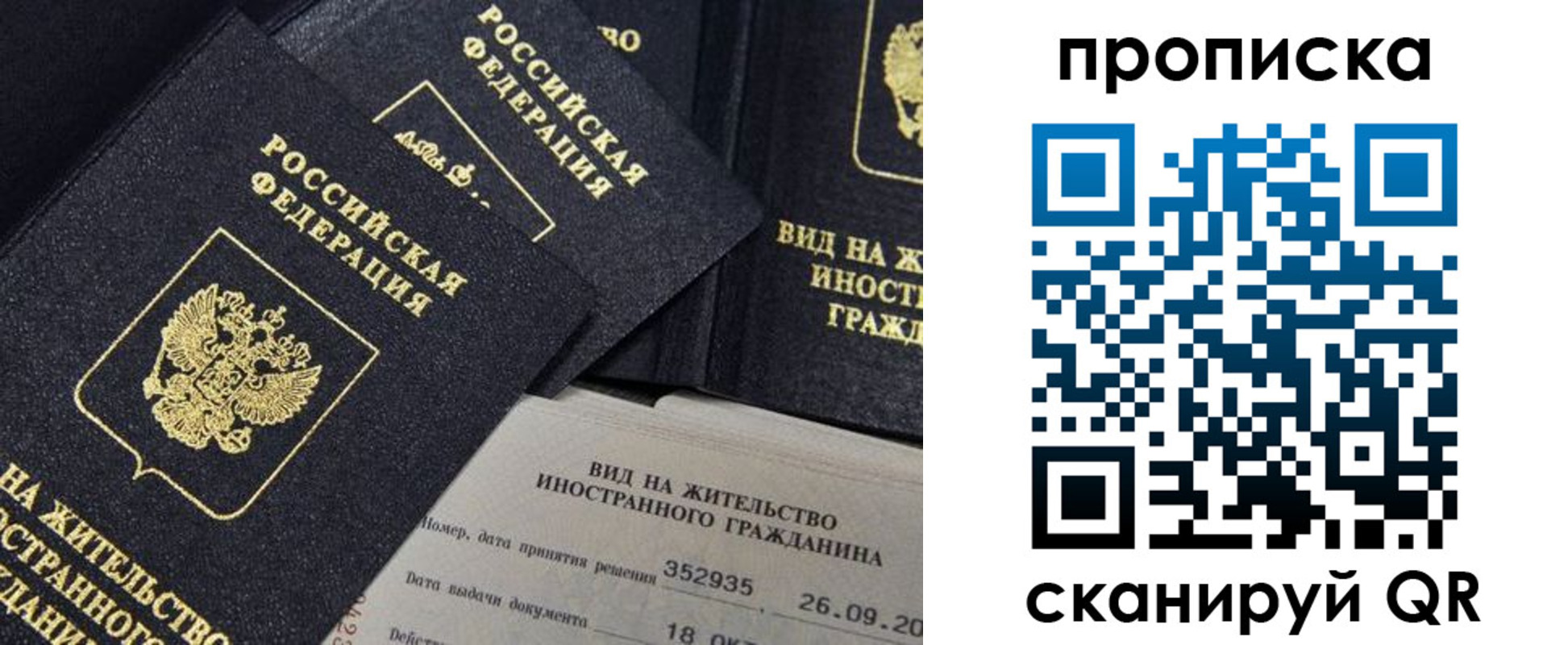 прописка паспорт в Судогде