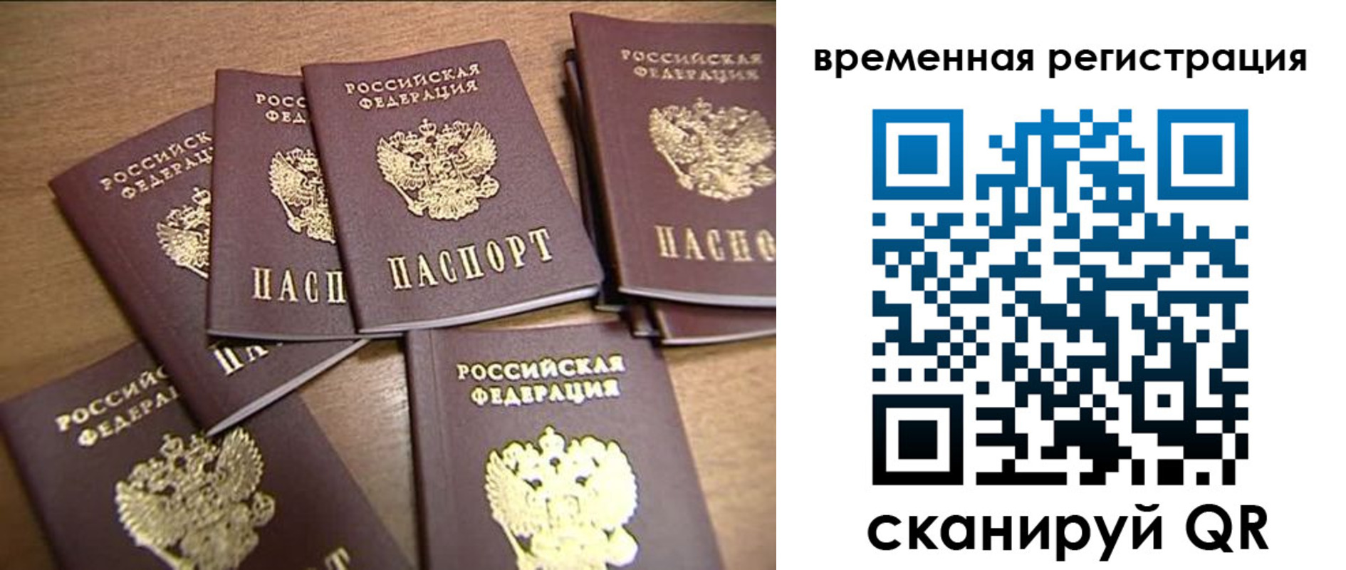 прописка ребенка в Судогде